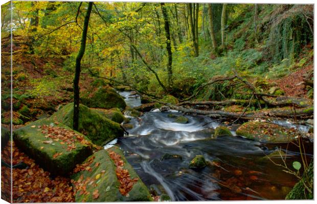 Padley Gorge Canvas Print by Alison Chambers