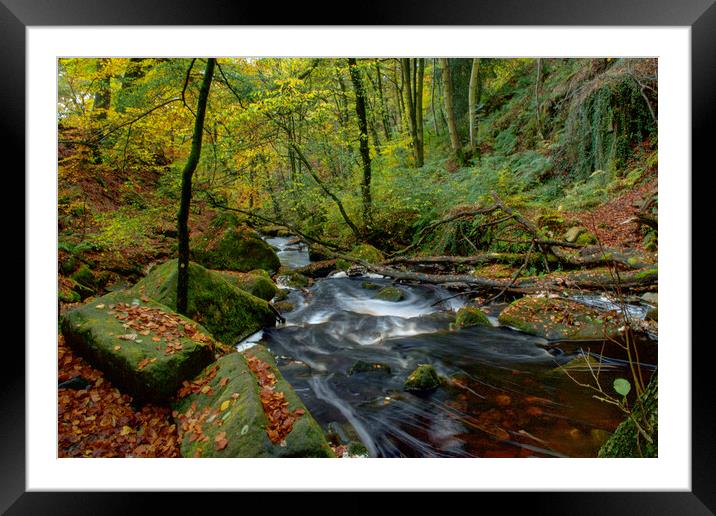 Padley Gorge Framed Mounted Print by Alison Chambers