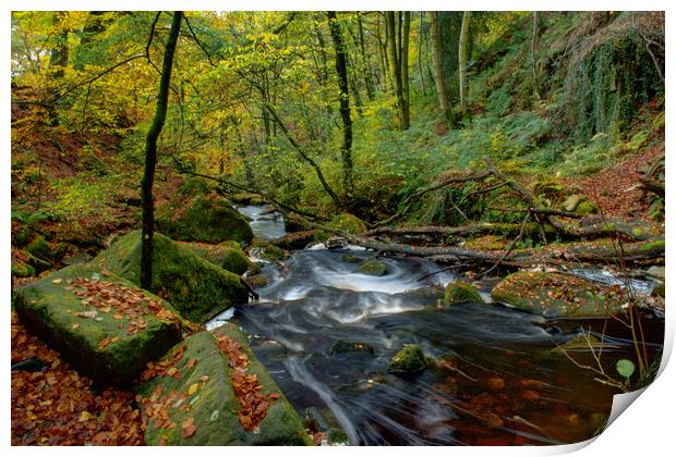 Padley Gorge Print by Alison Chambers