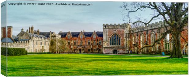 The Bishop's Palace Wells Somerset Canvas Print by Peter F Hunt