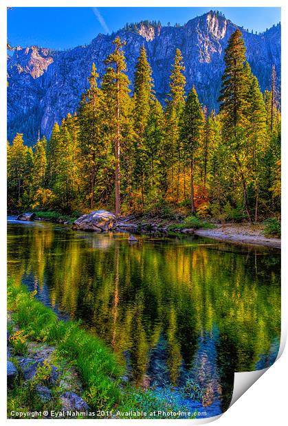 Reflections on the Merced river, Yosemite National Print by Eyal Nahmias