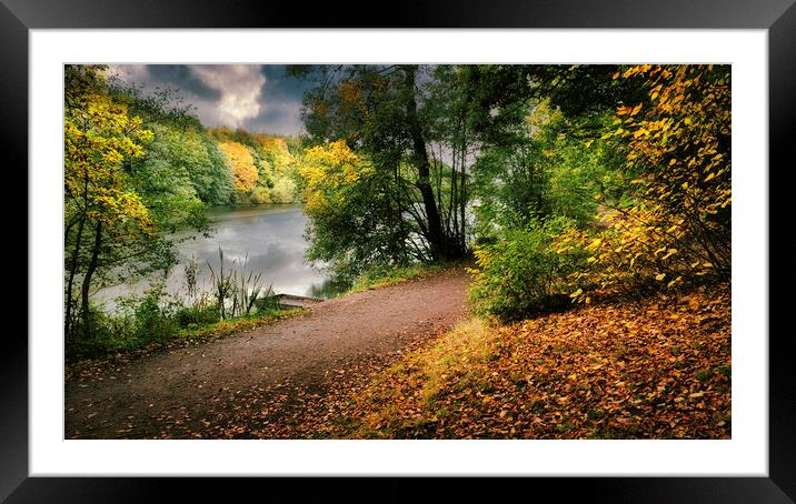 Moody Newmillerdam Wakefield Framed Mounted Print by Tim Hill