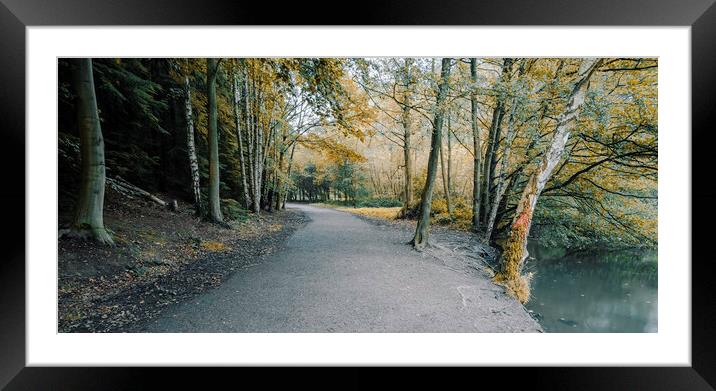 Enchanting Autumn at Newmillerdam Framed Mounted Print by Tim Hill
