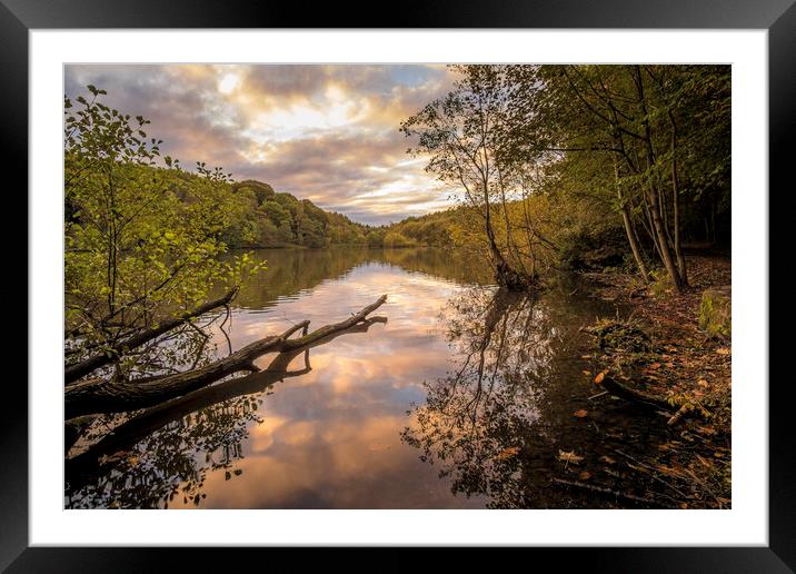 Sunrise at Newmillerdam Wakefield Framed Mounted Print by Tim Hill