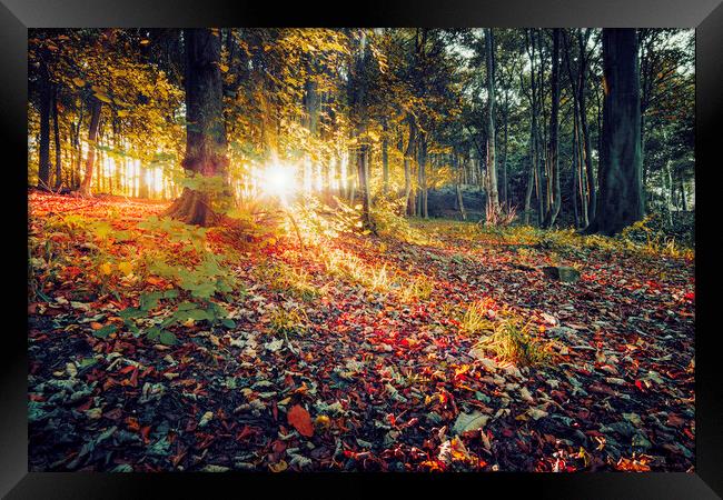 Autumns Radiant Sunrise Framed Print by Tim Hill