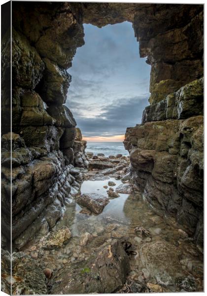 Rock Arch at Thornwick Bay Canvas Print by Tim Hill
