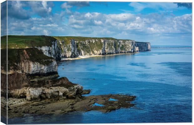 Wild Beauty of Thornwick Bay Canvas Print by Tim Hill
