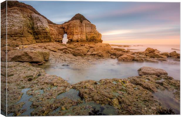 Thornwick Bay Cliff Arch Canvas Print by Tim Hill