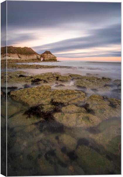 Captivating Thornwick Bay Seascape Canvas Print by Tim Hill