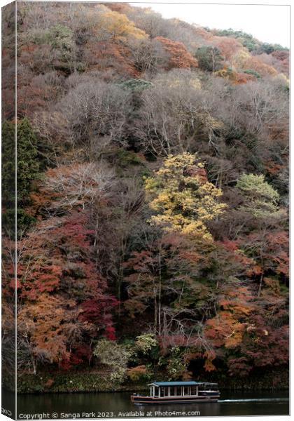 Autumn of Kyoto Arashiyama Canvas Print by Sanga Park