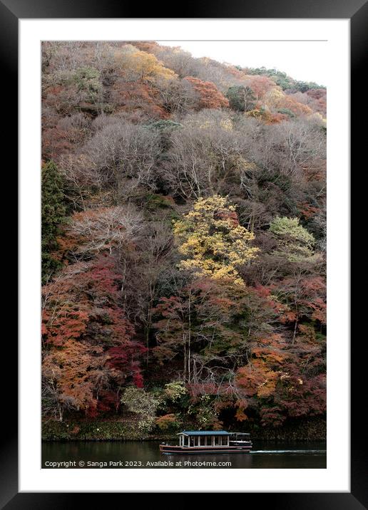 Autumn of Kyoto Arashiyama Framed Mounted Print by Sanga Park