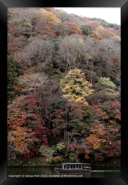 Autumn of Kyoto Arashiyama Framed Print by Sanga Park