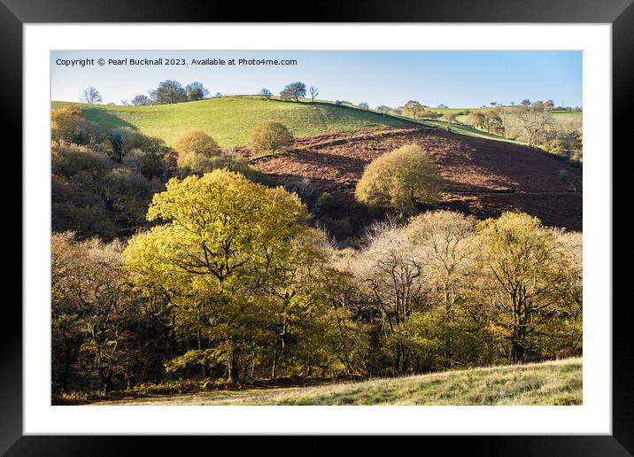 Welsh Countryside with Trees  Framed Mounted Print by Pearl Bucknall