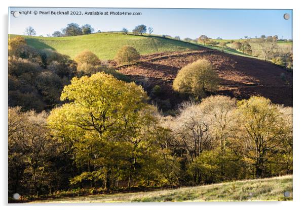 Welsh Countryside with Trees  Acrylic by Pearl Bucknall