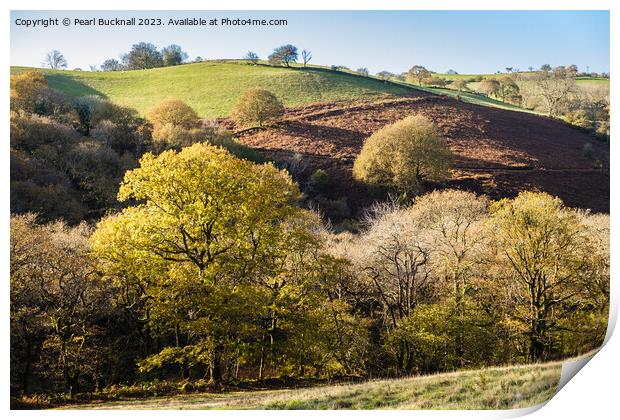 Welsh Countryside with Trees  Print by Pearl Bucknall