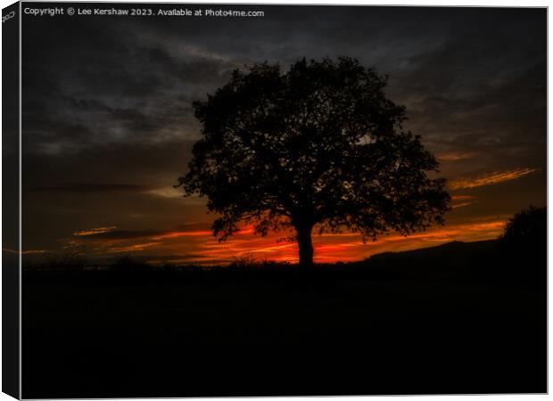 Serene Twilight Over a Striking Solitary Tree Canvas Print by Lee Kershaw