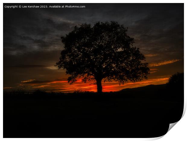 Serene Twilight Over a Striking Solitary Tree Print by Lee Kershaw