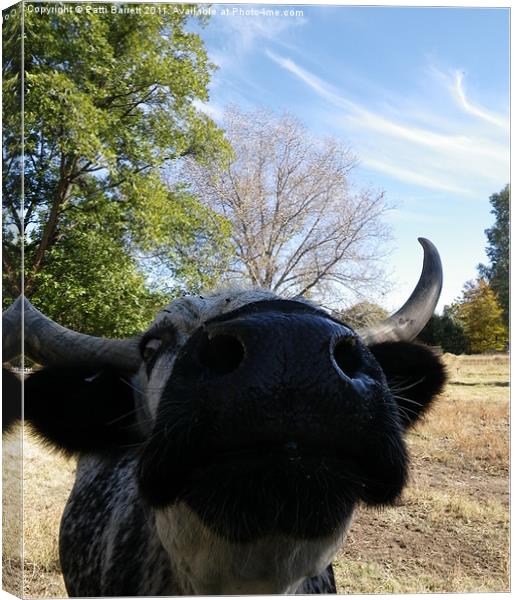 Cow asking for pet Canvas Print by Patti Barrett
