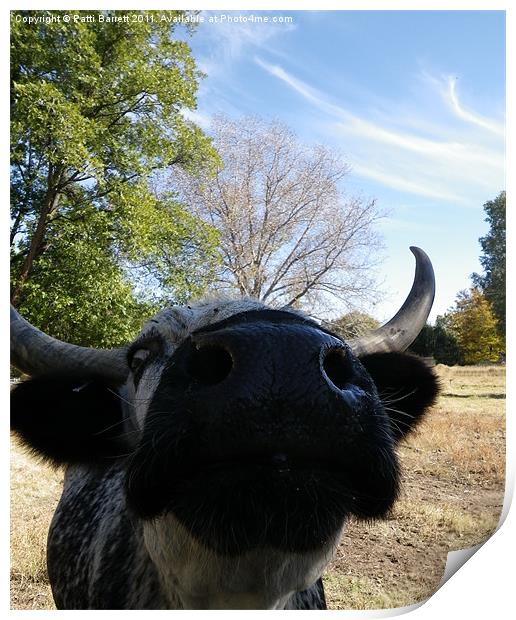 Cow asking for pet Print by Patti Barrett