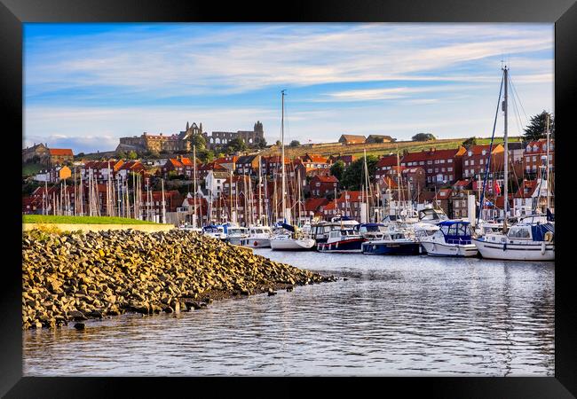 Whitby Abbey from River Esk Yachting Marina Framed Print by Tim Hill