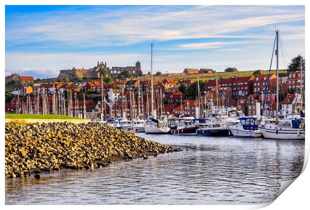 Whitby Abbey from River Esk Yachting Marina Print by Tim Hill