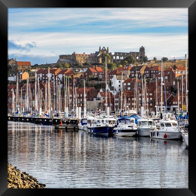 River Esk Yachting Marina to Whitby Abbey Framed Print by Tim Hill