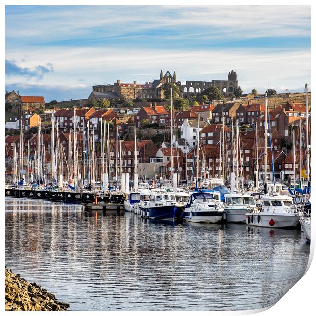 River Esk Yachting Marina to Whitby Abbey Print by Tim Hill