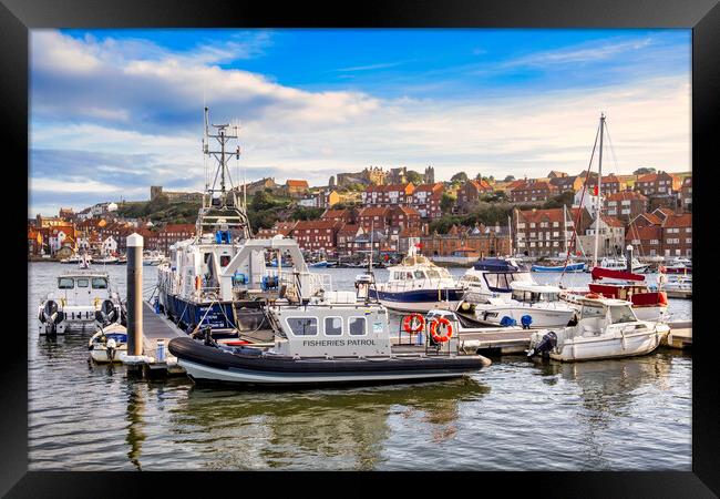 River Esk Yachting Marina to Whitby Abbey Framed Print by Tim Hill