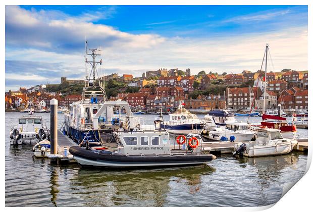 River Esk Yachting Marina to Whitby Abbey Print by Tim Hill