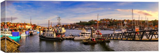 Whitby River Esk Panoramic Canvas Print by Tim Hill