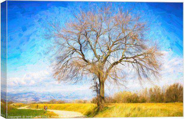 A tree on the road - CR2103-4772-OIL Canvas Print by Jordi Carrio