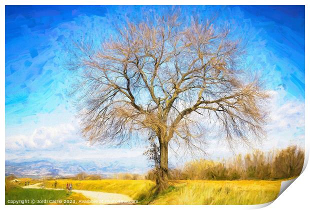 A tree on the road - CR2103-4772-OIL Print by Jordi Carrio