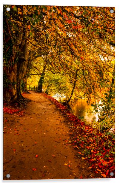 Serene Autumnal Walk Acrylic by Tim Hill
