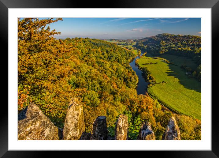 Symonds Yat Rock and the River Wye in Autumn Framed Mounted Print by David Ross