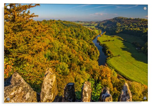 Symonds Yat Rock and the River Wye in Autumn Acrylic by David Ross