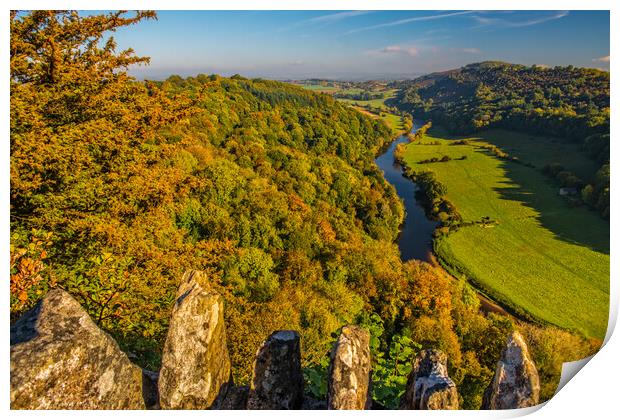 Symonds Yat Rock and the River Wye in Autumn Print by David Ross