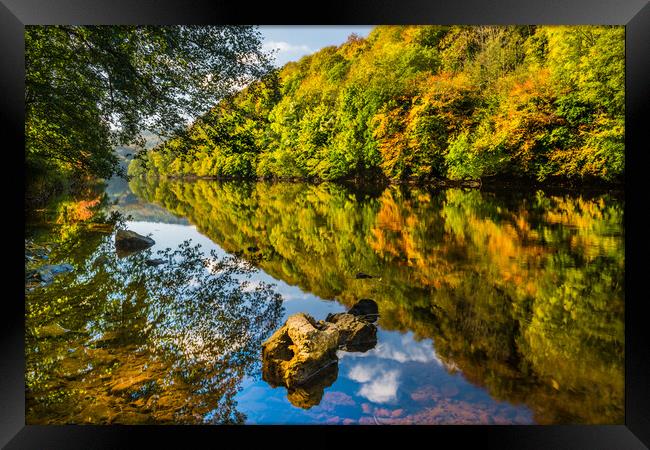 River Wye in Autumn, Symonds Yat Framed Print by David Ross