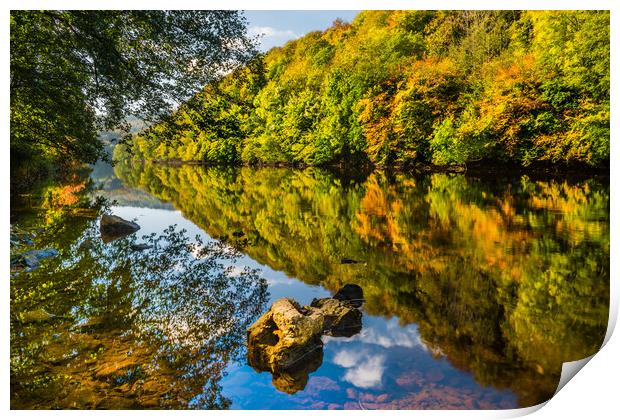 River Wye in Autumn, Symonds Yat Print by David Ross