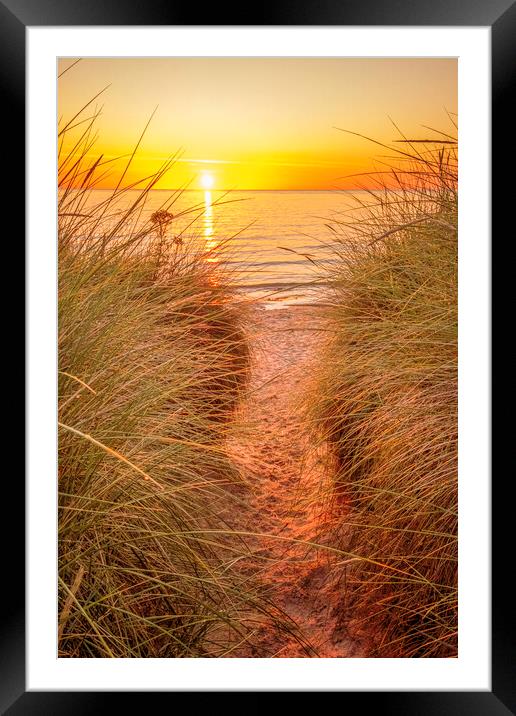 Golden Hour Magic Framed Mounted Print by Tim Hill