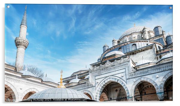 Istanbul beyazit camii mosque Acrylic by Antony McAulay