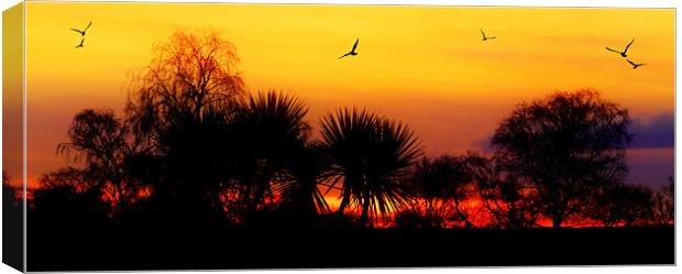 Glorious Sunset Sky Canvas Print by Louise Godwin