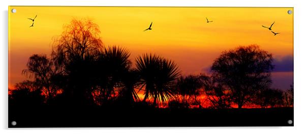 Glorious Sunset Sky Acrylic by Louise Godwin