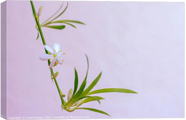Delicate Flower on a Spider Plant Canvas Print by Kasia Design