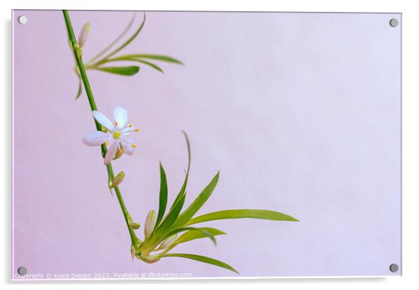 Delicate Flower on a Spider Plant Acrylic by Kasia Design