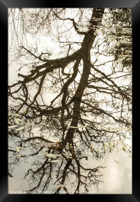 tree reflections in pond Framed Print by Simon Johnson