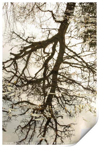tree reflections in pond Print by Simon Johnson