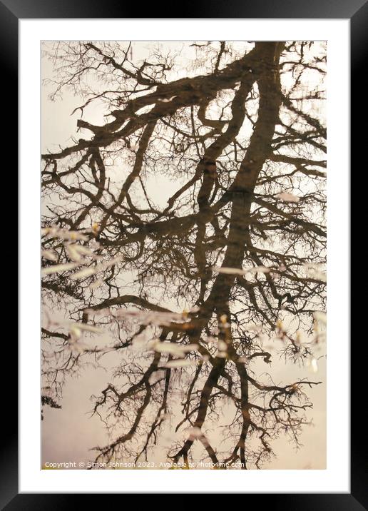 tree reflections Framed Mounted Print by Simon Johnson