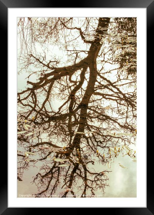 Pond reflections Framed Mounted Print by Simon Johnson