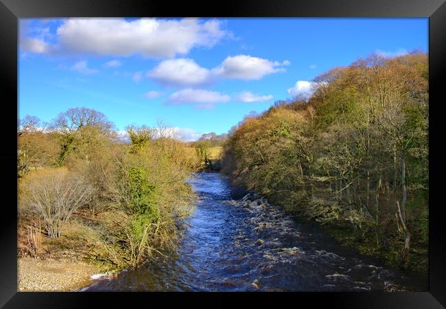 The River Swale Easby Framed Print by Steve Smith