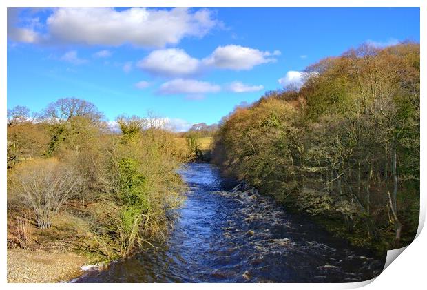 The River Swale Easby Print by Steve Smith